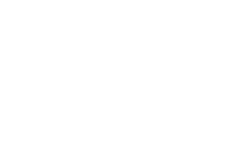 Advocacy Incubator logo white