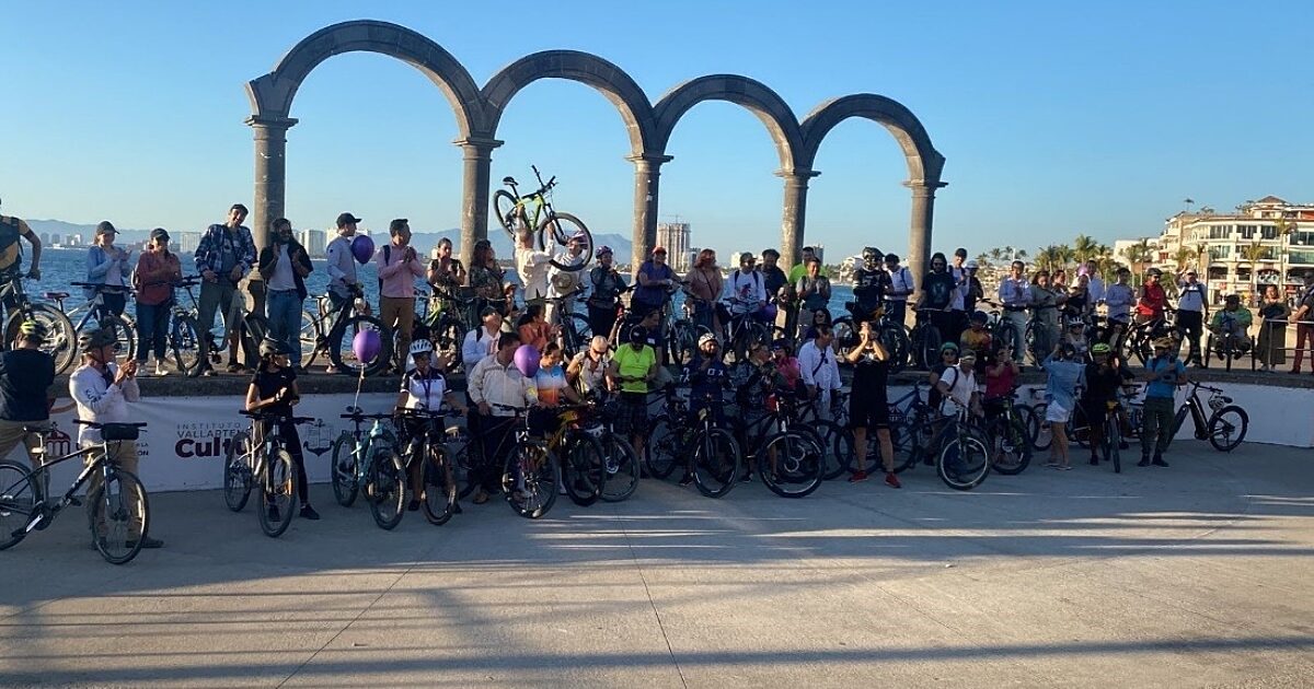 Global Health Advocacy Incubator Mexican Coalition for Road Safety…